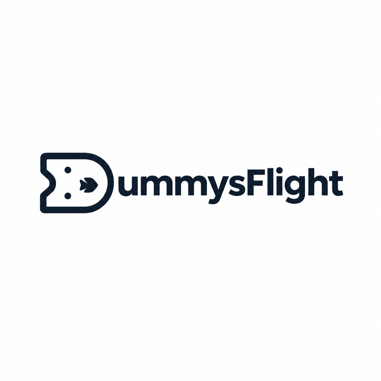 Dummy's Flight